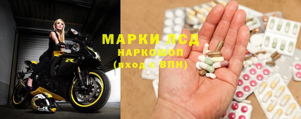 spice Алзамай