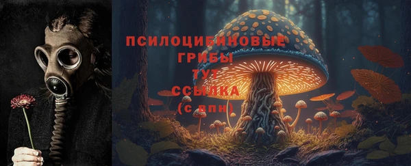 круглые Алексеевка