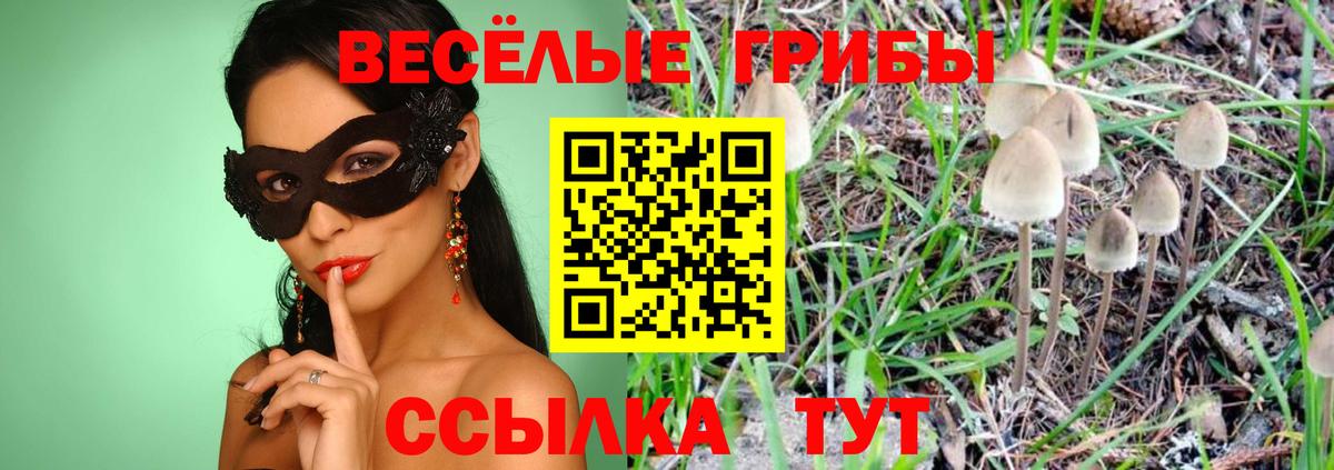 Находка  Галлюциногенные грибы мухоморы  Псилоцибиновые грибы прущие грибы  Вход с VPN 