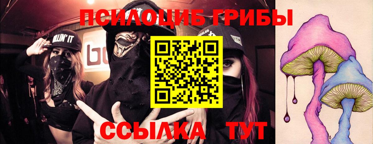 Галлюциногенные грибы прущие грибы Находка